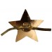 Odznak "Hvězdička SSSR"